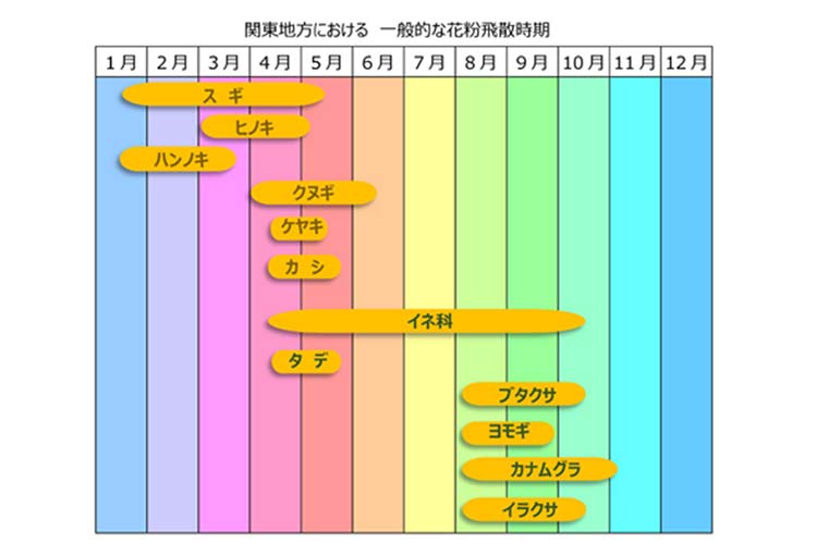 飛散時期